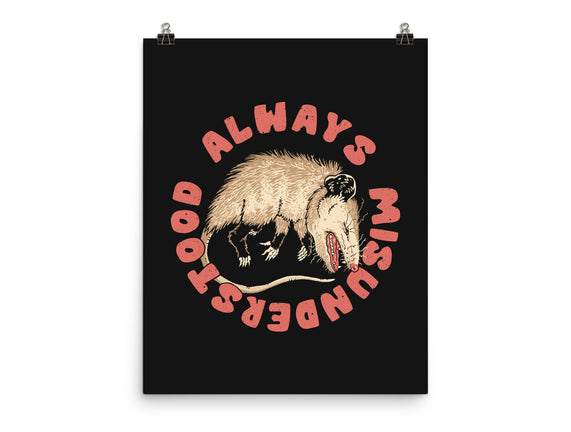 Misunderstood Possum
