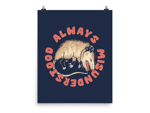 Misunderstood Possum