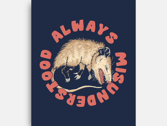 Misunderstood Possum