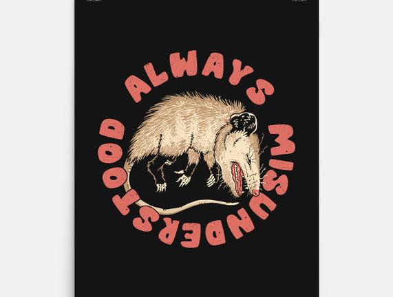 Misunderstood Possum