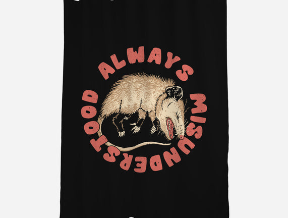 Misunderstood Possum