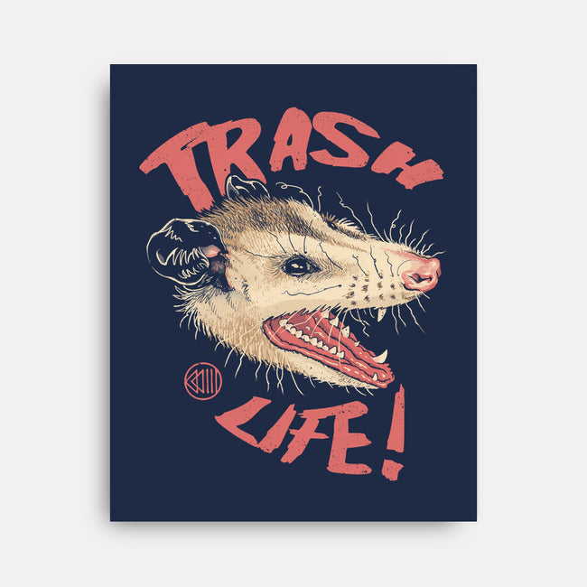 Possum Panic-None-Stretched-Canvas-vp021