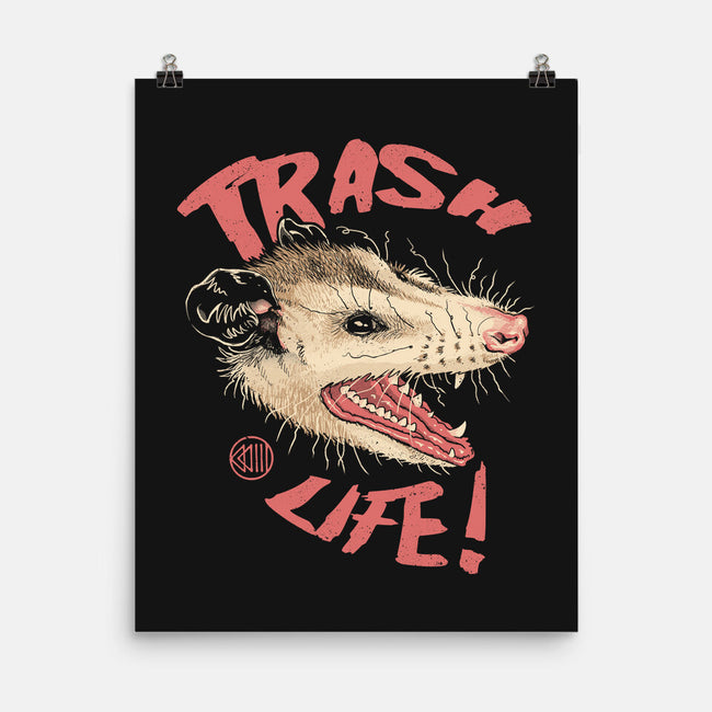 Possum Panic-None-Matte-Poster-vp021