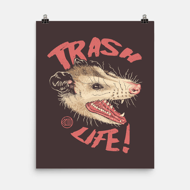 Possum Panic-None-Matte-Poster-vp021