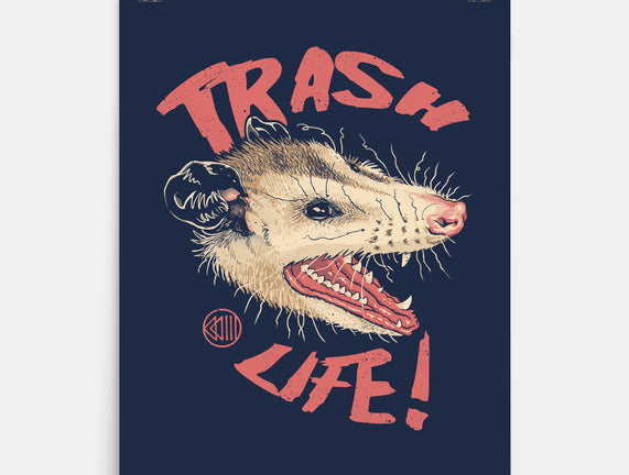 Possum Panic