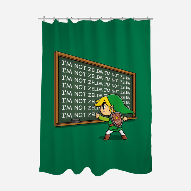 Not Zelda-None-Polyester-Shower Curtain-Barbadifuoco
