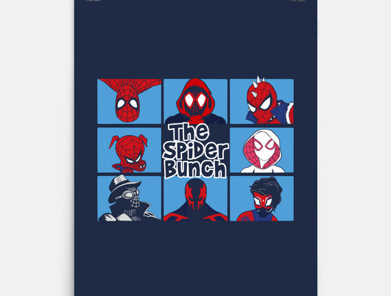 The Spider Bunch