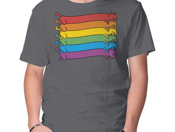 Rainbow Cats Pride Flag