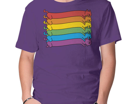 Rainbow Cats Pride Flag