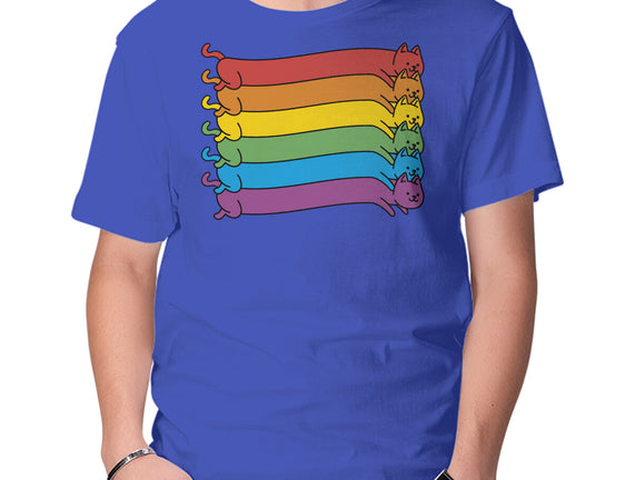 Rainbow Cats Pride Flag
