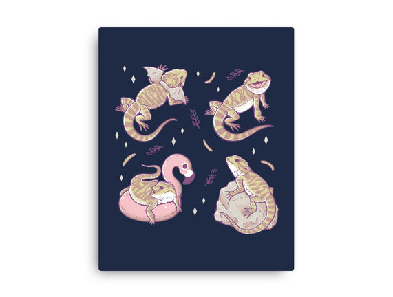 Bearded Dragons