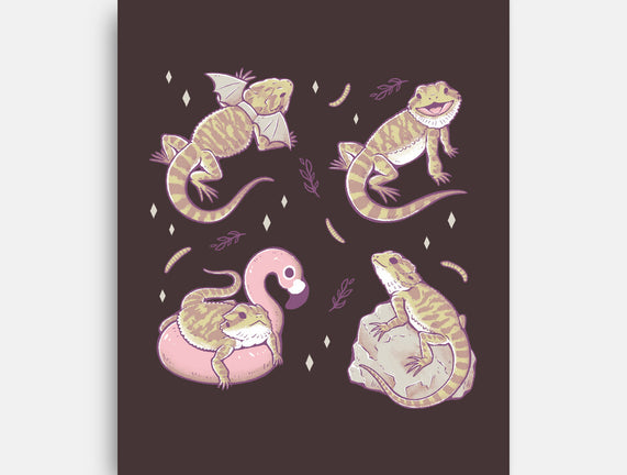 Bearded Dragons