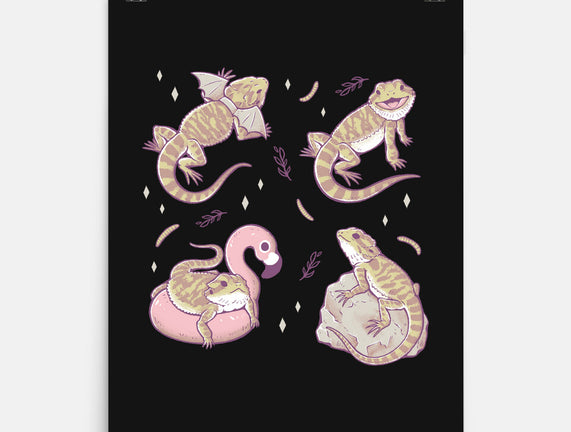 Bearded Dragons