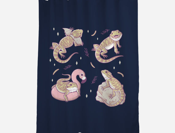 Bearded Dragons