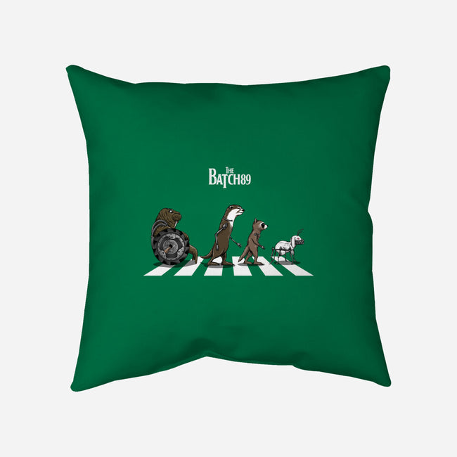 The Batch 89 Road-None-Removable Cover w Insert-Throw Pillow-joerawks