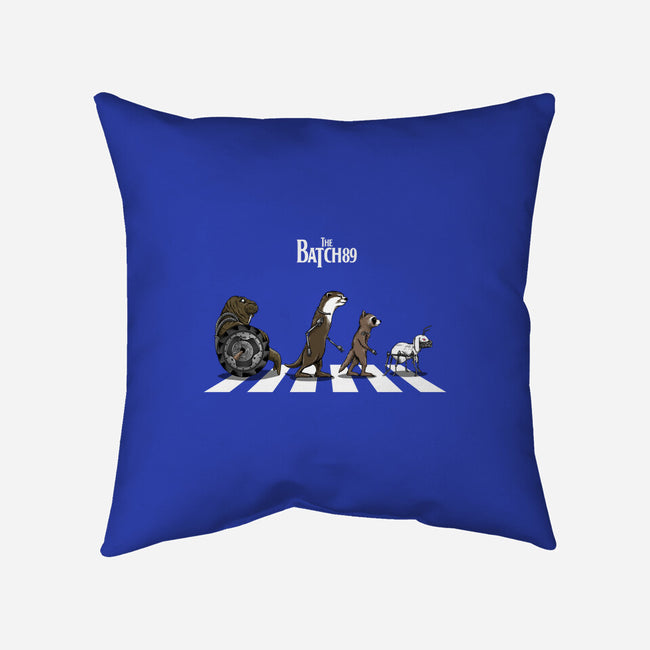 The Batch 89 Road-None-Removable Cover w Insert-Throw Pillow-joerawks