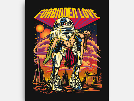The Forbidden Love
