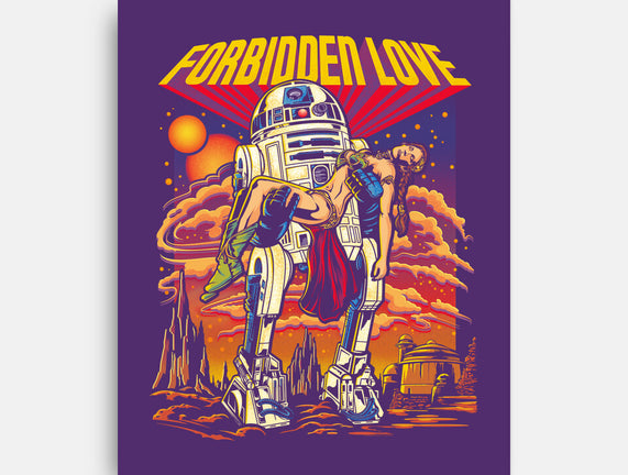 The Forbidden Love