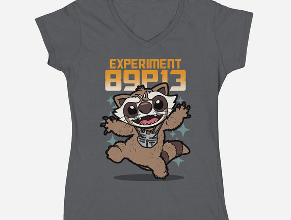 Experiment 89P13