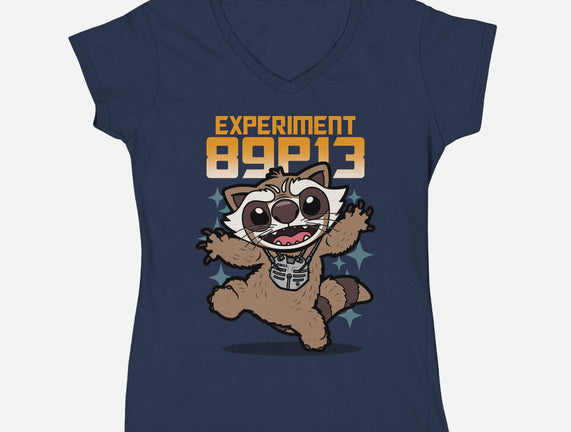 Experiment 89P13