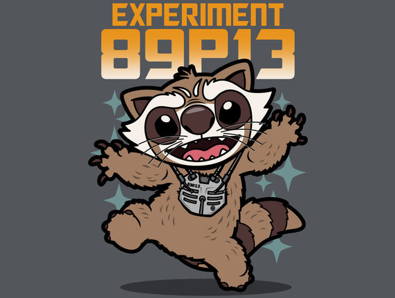 Experiment 89P13