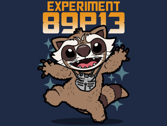 Experiment 89P13