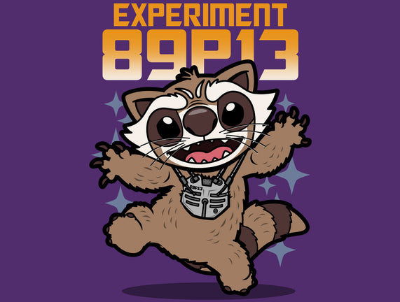 Experiment 89P13