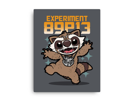 Experiment 89P13