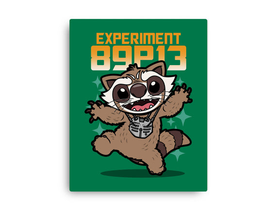 Experiment 89P13