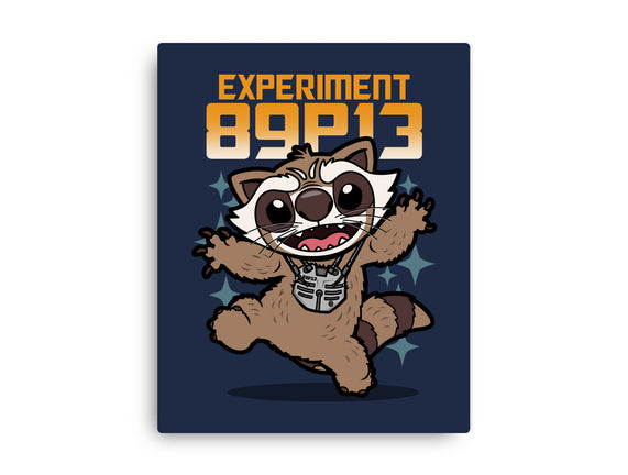 Experiment 89P13