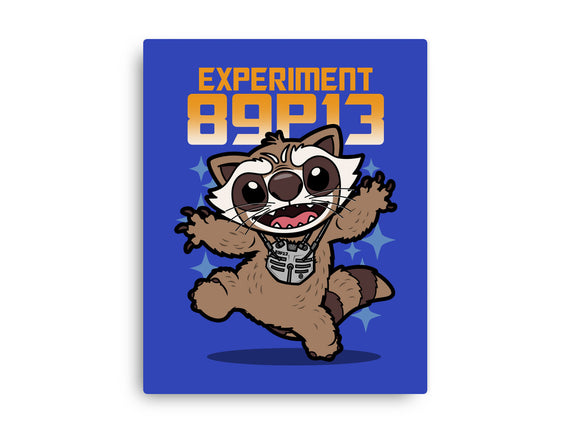 Experiment 89P13