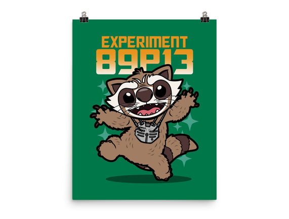 Experiment 89P13