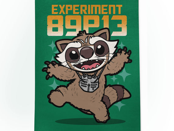 Experiment 89P13