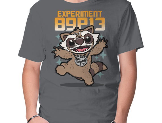 Experiment 89P13