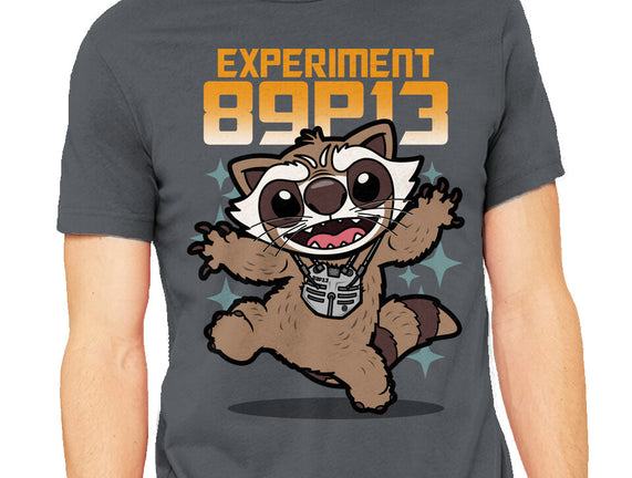 Experiment 89P13