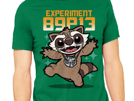 Experiment 89P13