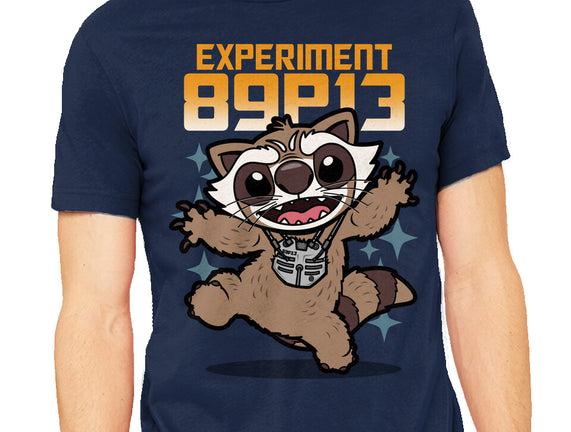 Experiment 89P13