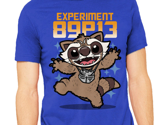 Experiment 89P13