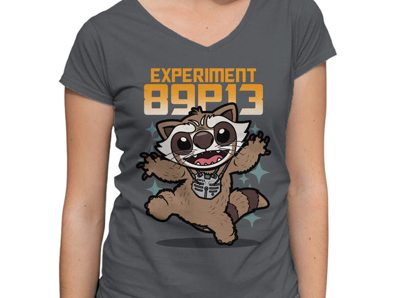 Experiment 89P13