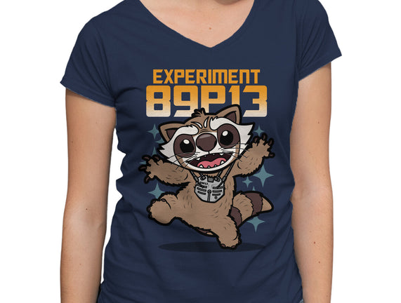 Experiment 89P13