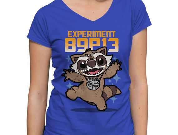 Experiment 89P13