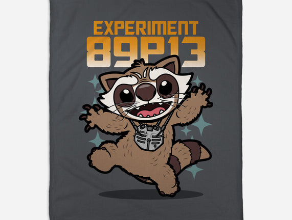 Experiment 89P13