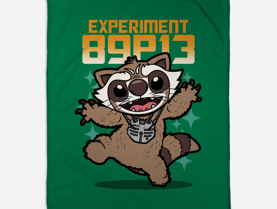 Experiment 89P13