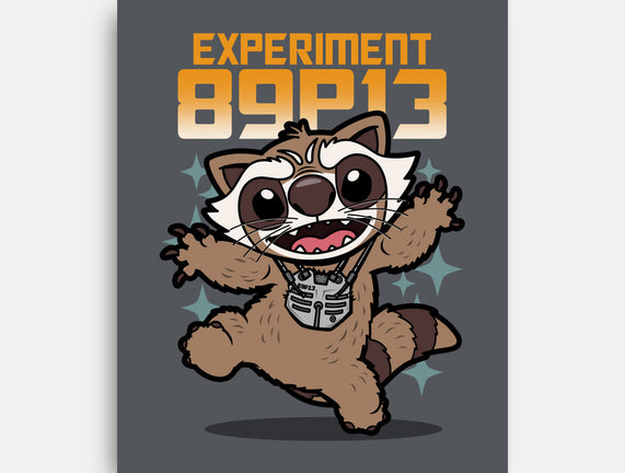 Experiment 89P13