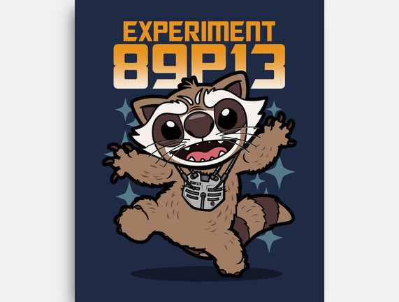 Experiment 89P13