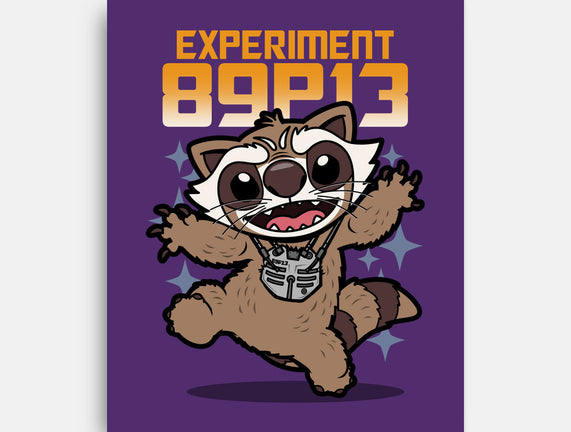 Experiment 89P13