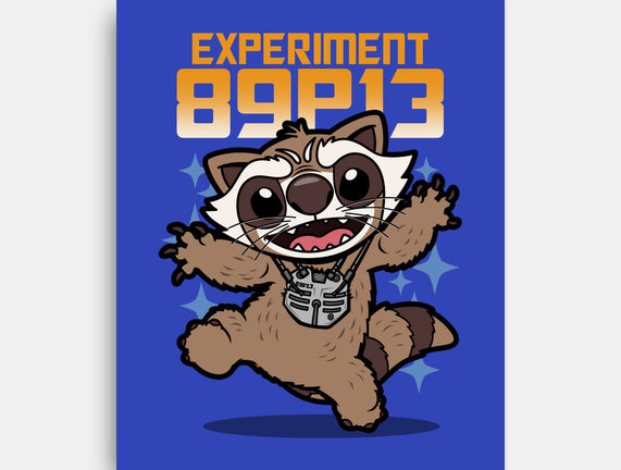 Experiment 89P13
