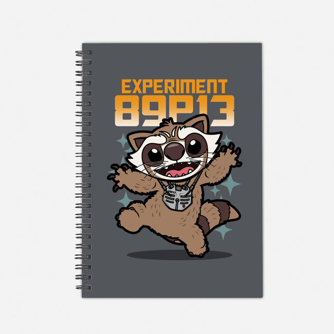 Experiment 89P13-None-Dot Grid-Notebook-Boggs Nicolas