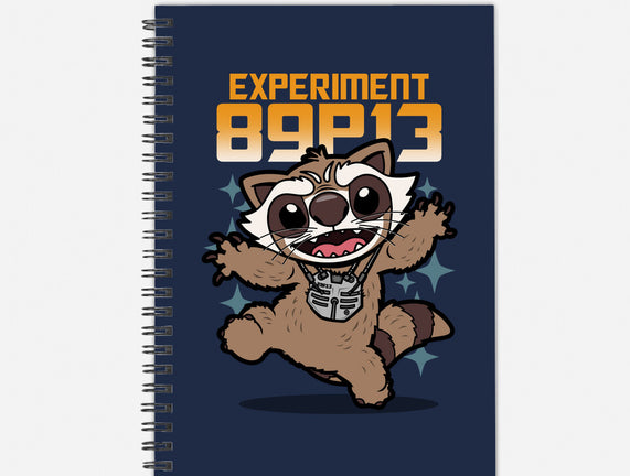 Experiment 89P13