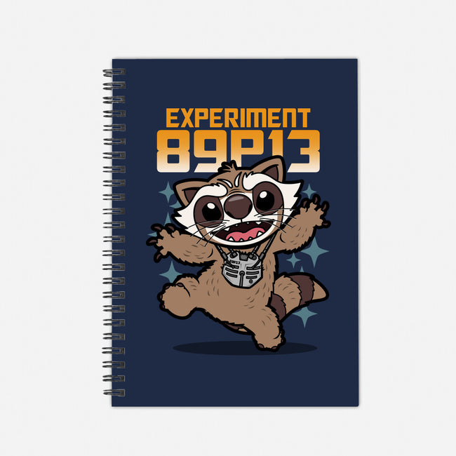 Experiment 89P13-None-Dot Grid-Notebook-Boggs Nicolas